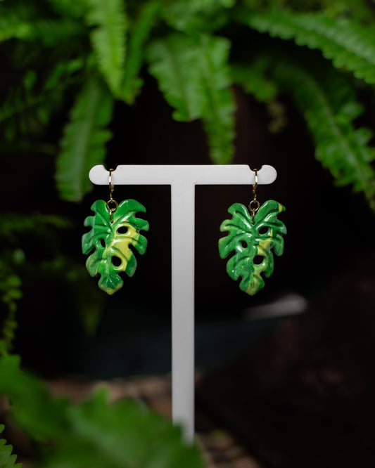 Monstera Aurea | Ohrringe