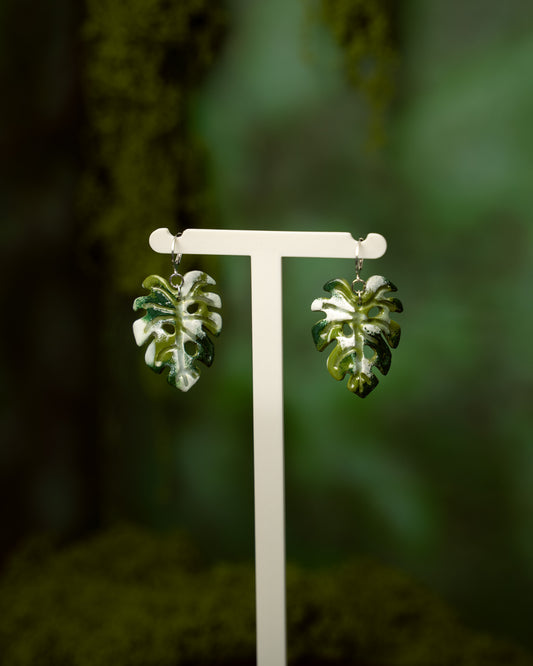 Monstera Variegata | Ohrringe
