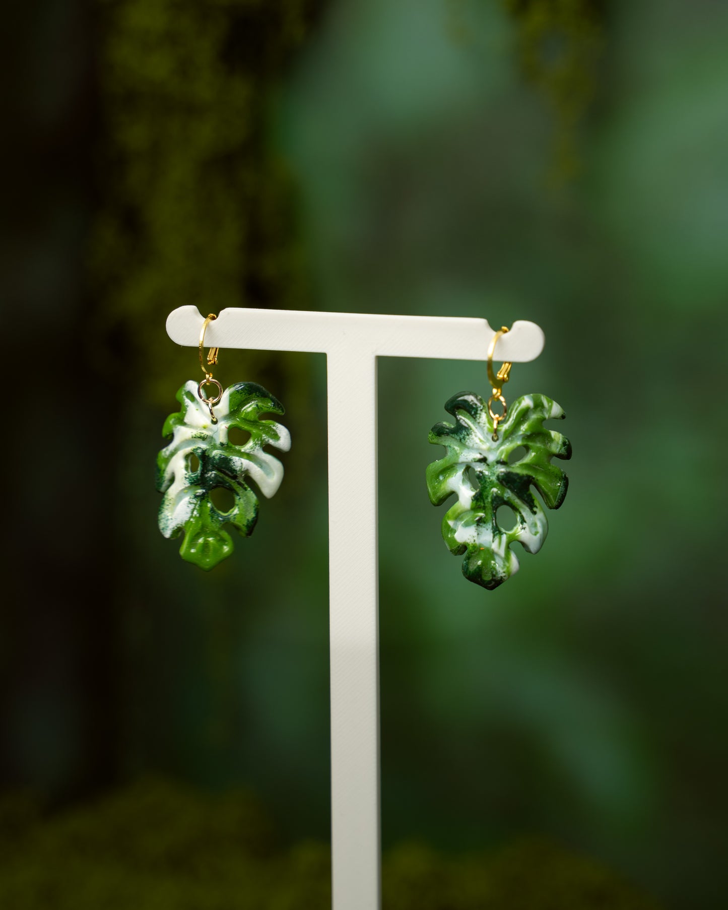 Monstera Variegata | Ohrringe