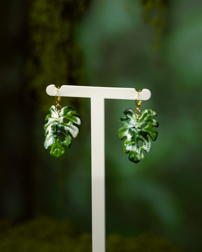 Monstera Variegata | Ohrringe